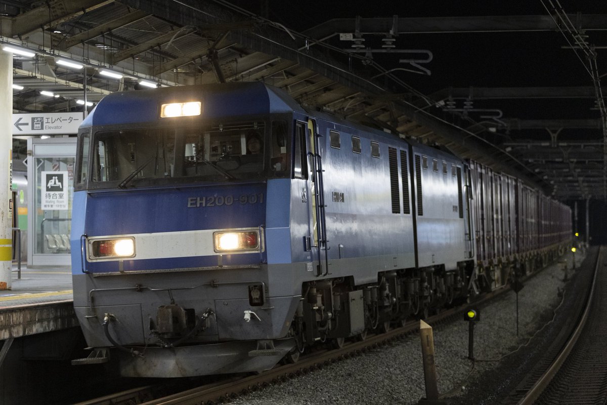 どんぶり tweet media