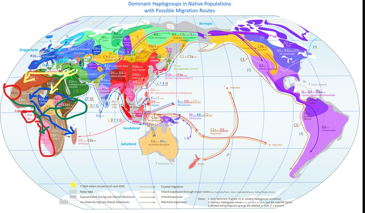 Ella Koby tweet media