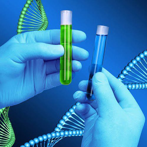 Gusholder Haber Bülteni tweet media