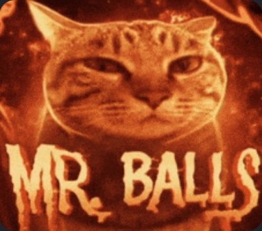 Gawk ♜ tweet media