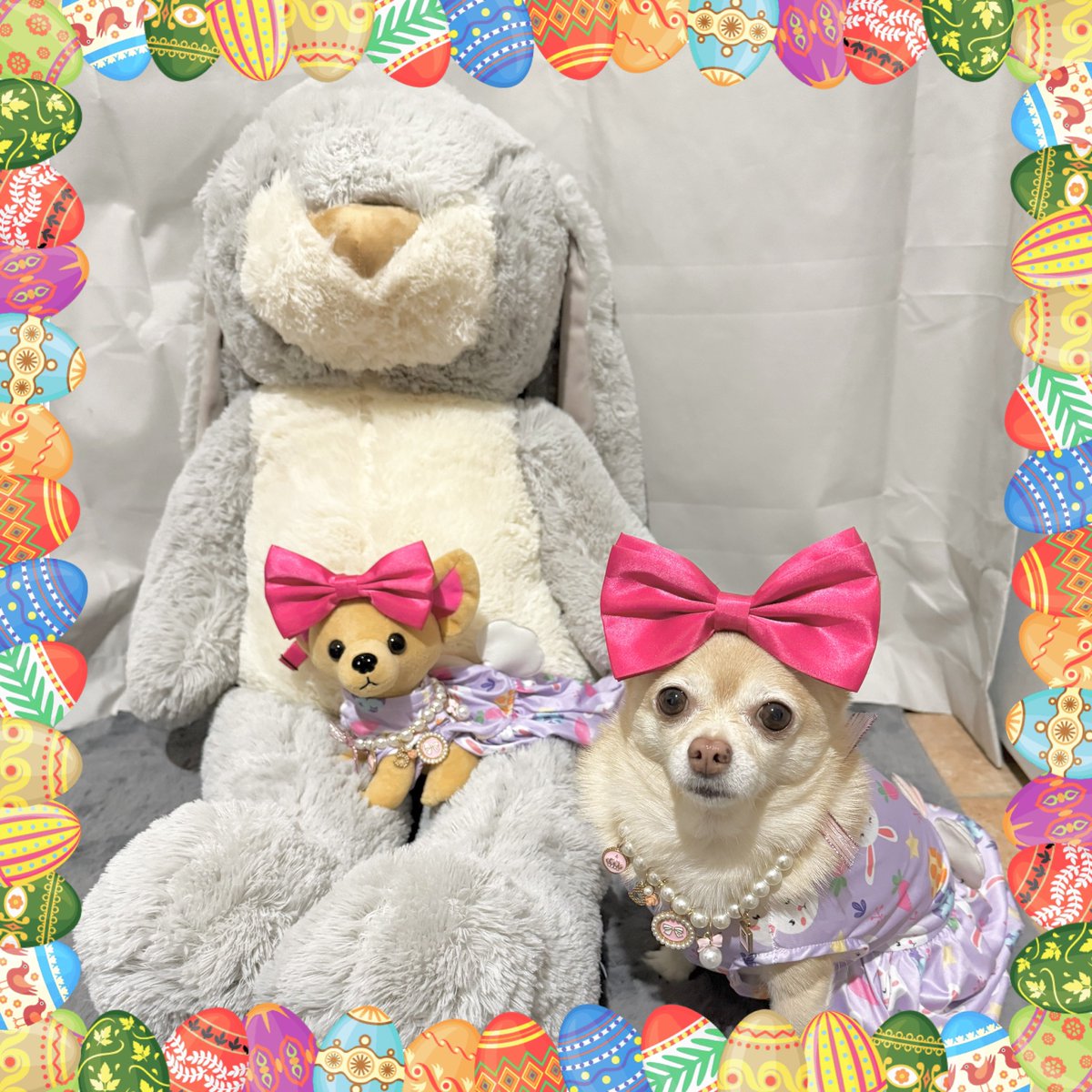 🧚🏻‍♀️🎀 Tinkerbell 🎀🧚🏻‍♀️ tweet media