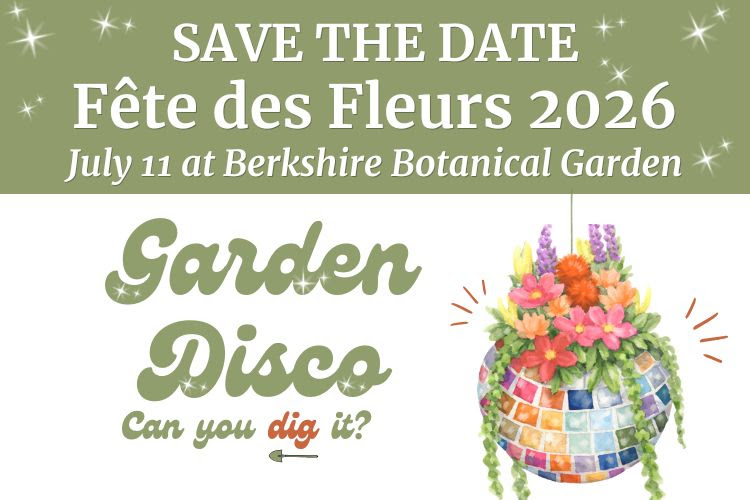 The Berkshires, MA tweet media