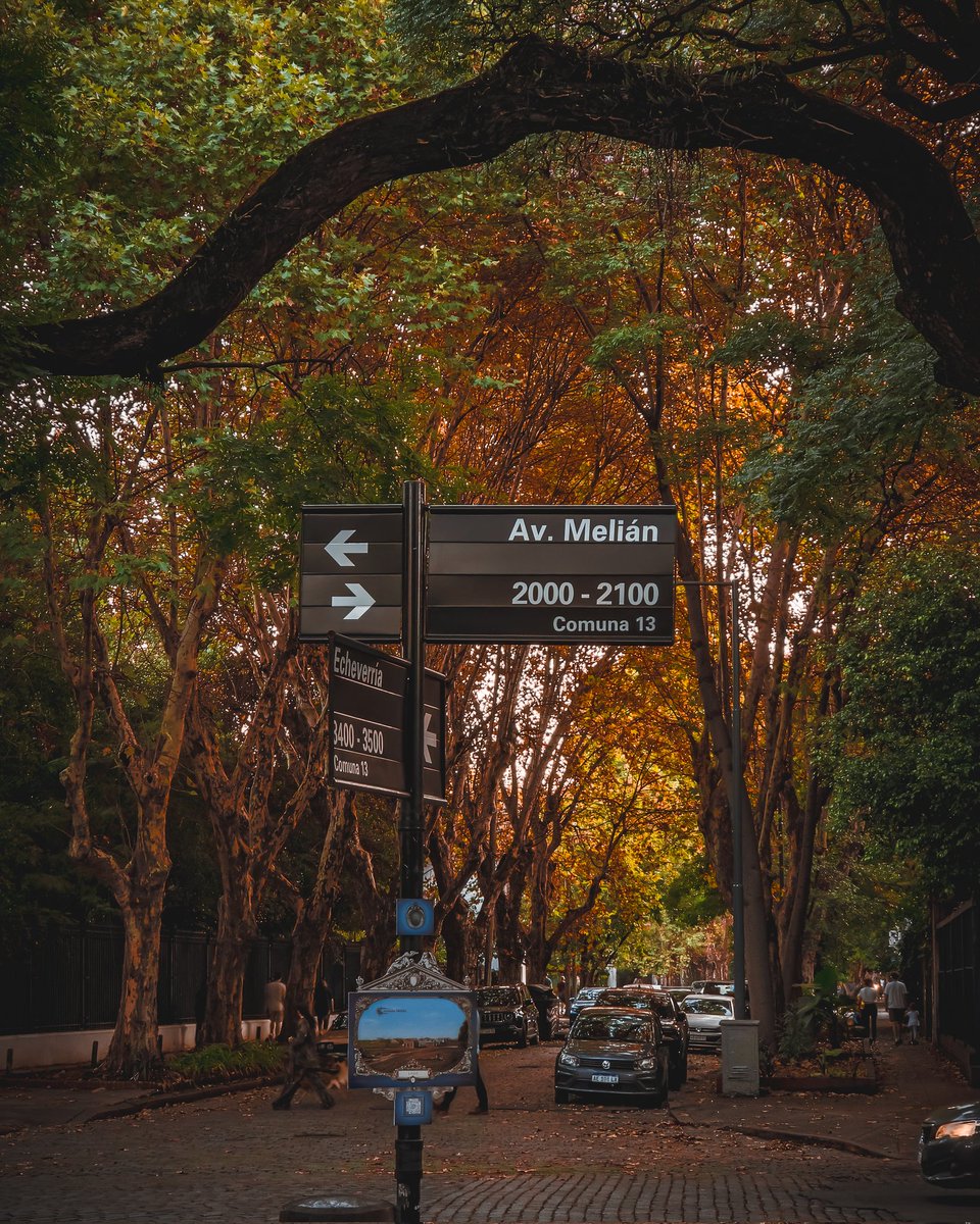 BA Landscapes tweet media