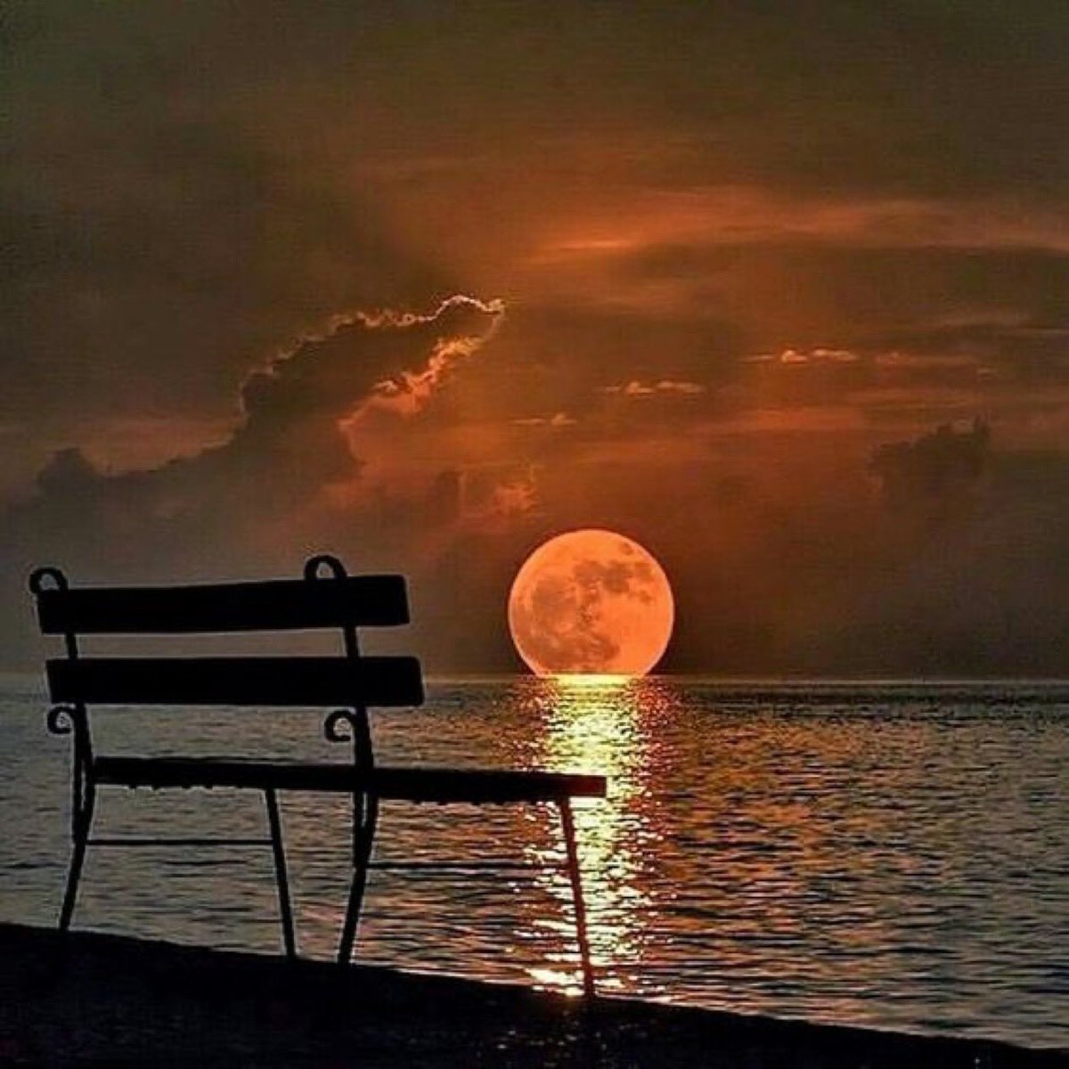 Nice_Dreams2's tweet photo. عندما يحين وقت غروب الشمس يلتقي الصمت بالجمال ويهمس البحر : 
 "دع اليوم يرحل بسلام" 💜💜

#حلم_الأمل https://t.co/YTnEesaZ0D