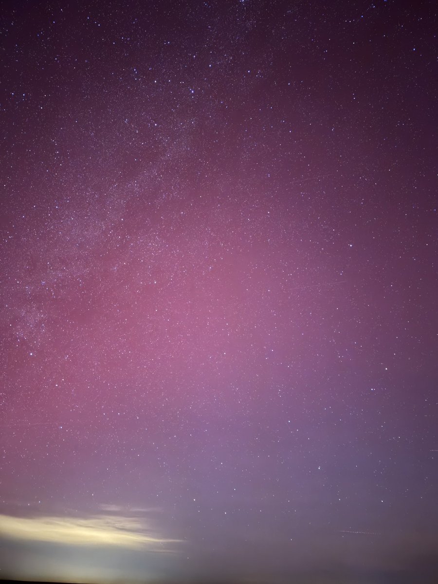 Mitch Reid tweet media