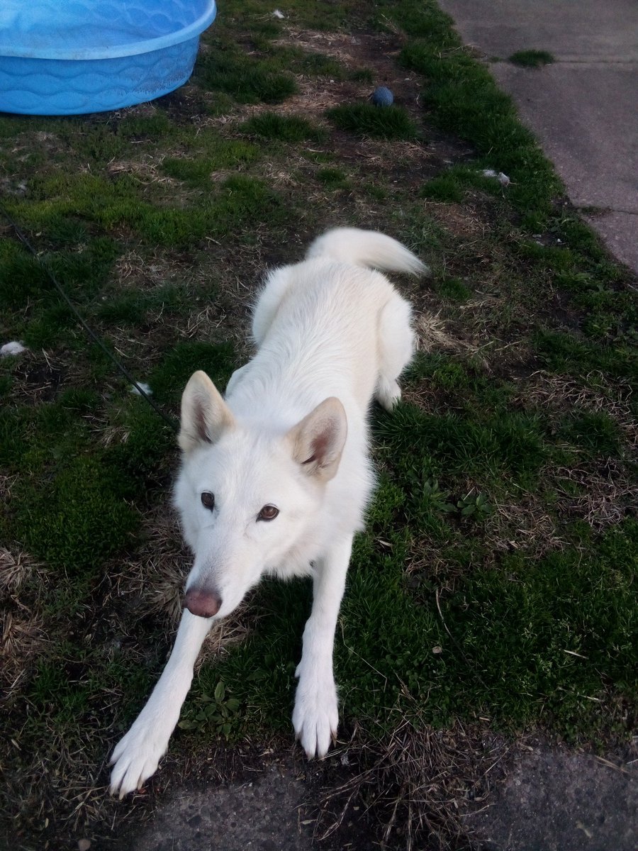 cheryl branum tweet media