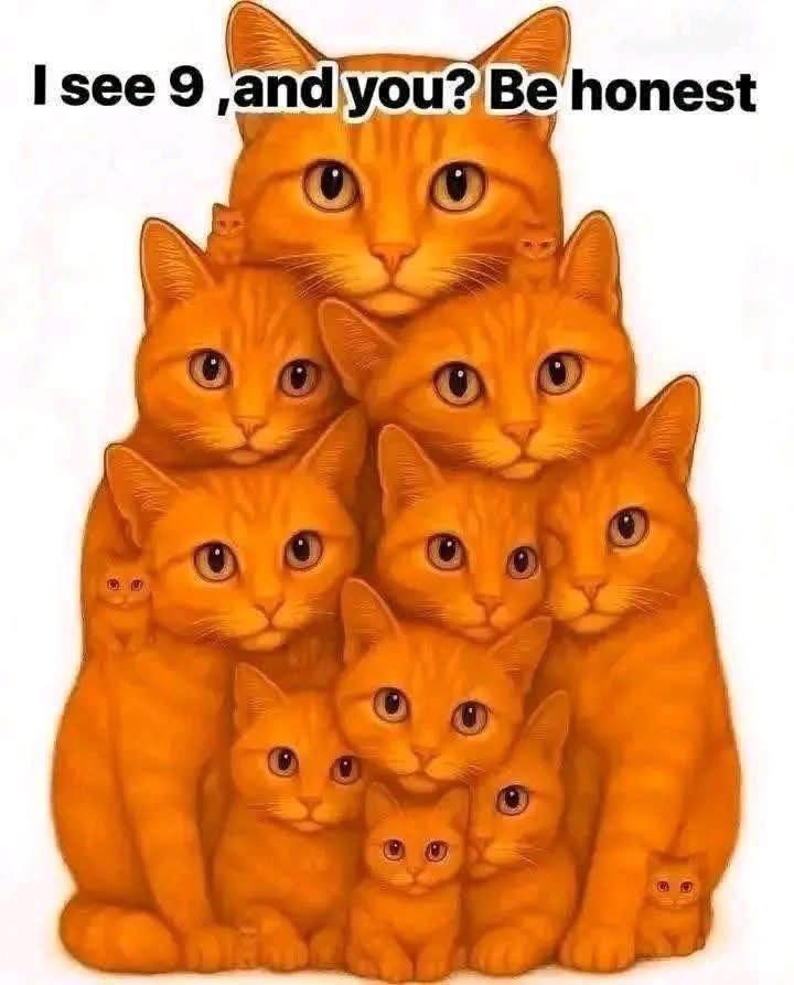 Mark Heath 🇬🇧🏴󠁧󠁢󠁥󠁮󠁧󠁿🙏🏻 tweet media