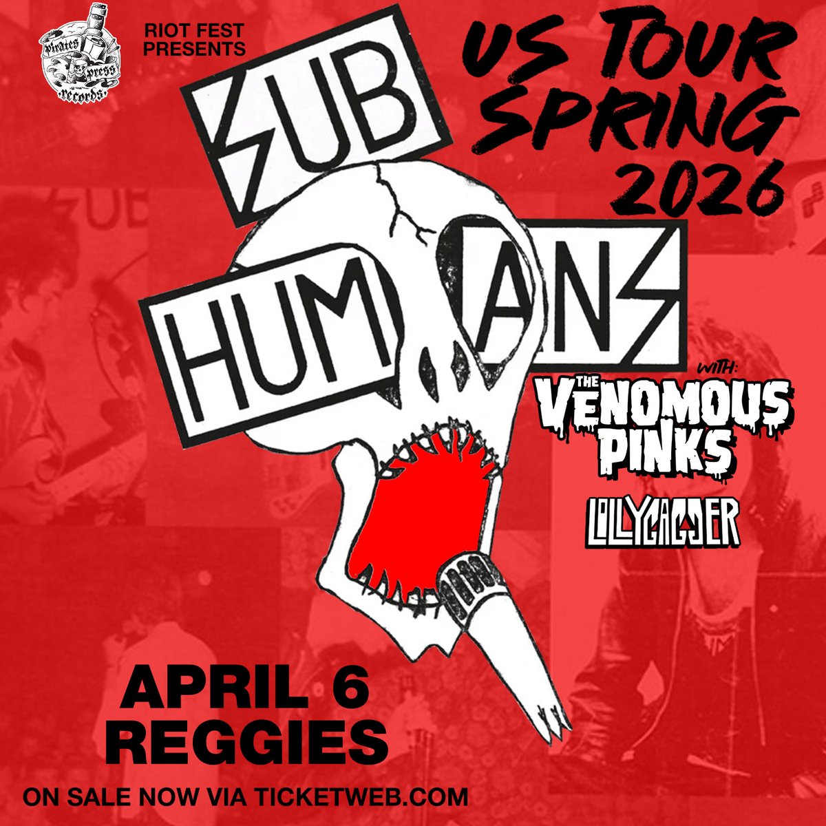 Riot Fest tweet media