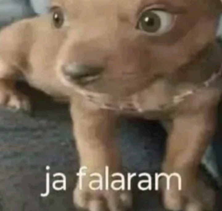 Bertie ★ tweet media