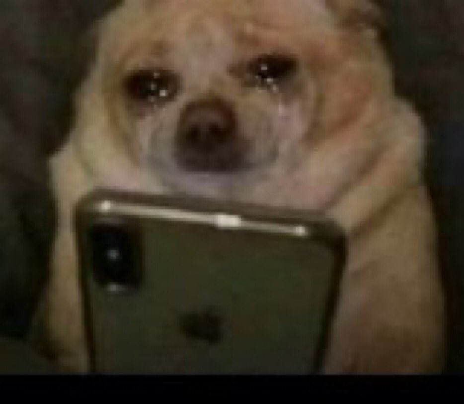 JOLLYSWIT tweet media