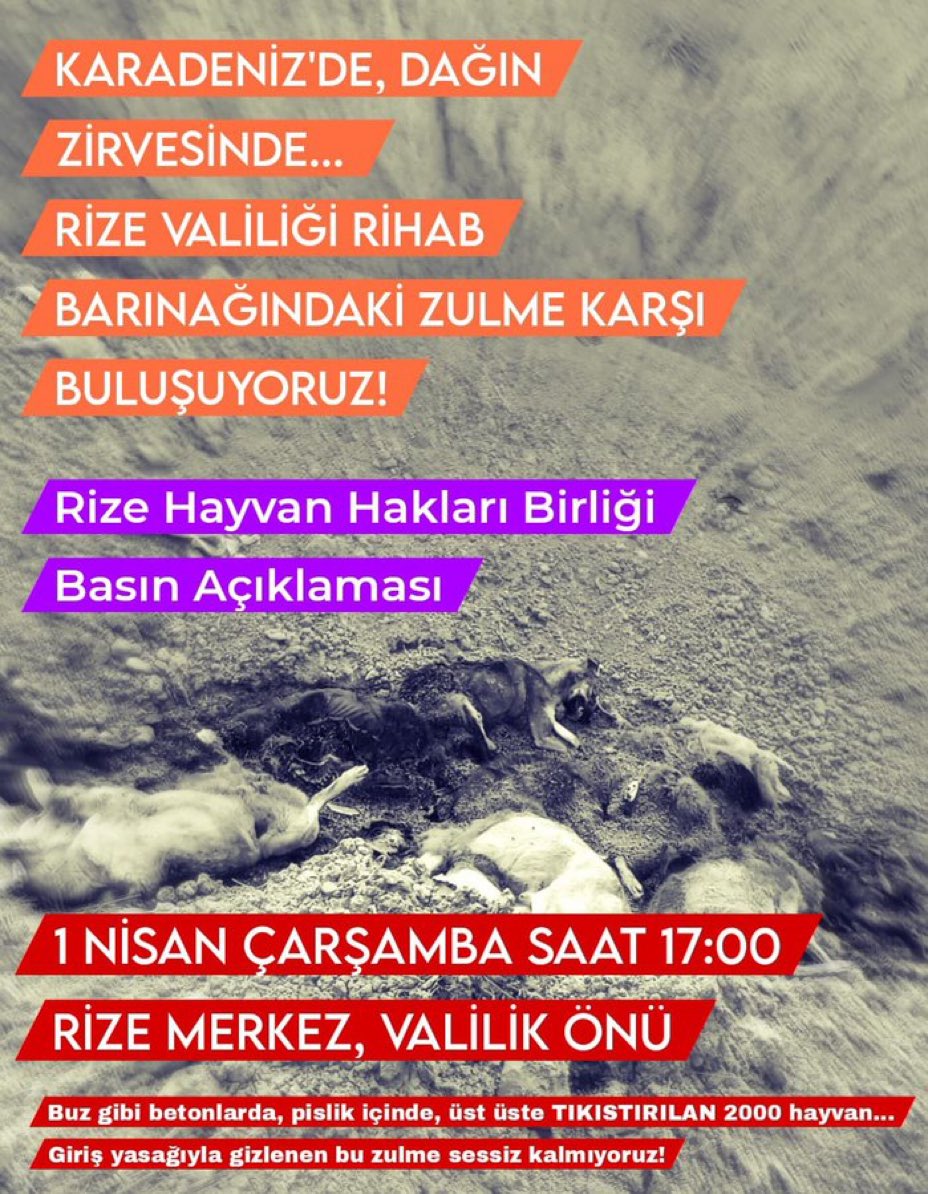 Serap Ulusoy 🦋 tweet media