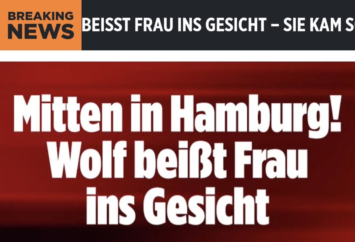 Claudio Casula 🇮🇱🇮🇹🇬🇧🏴󠁧󠁢󠁳󠁣󠁴󠁿🇬🇷🇭🇺 tweet media