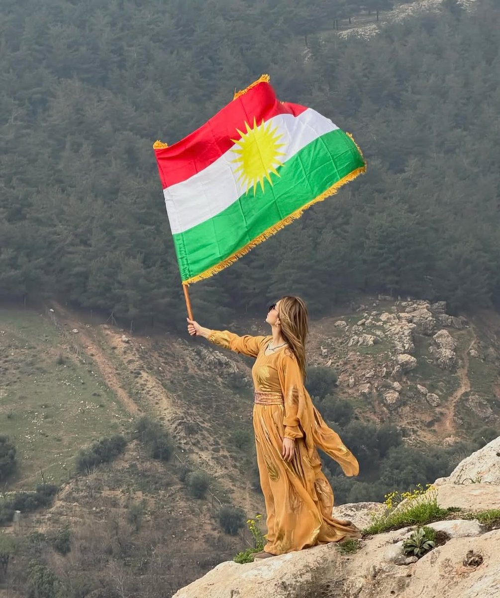 Kurds on X tweet media