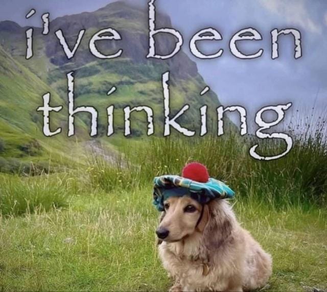 Disciple Of Faust tweet media