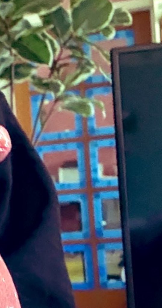 🌲🌧️ Junipurr 🔜 ANW 🌧️🌲 tweet media