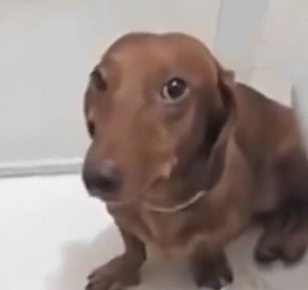 nina 🥤 tweet media