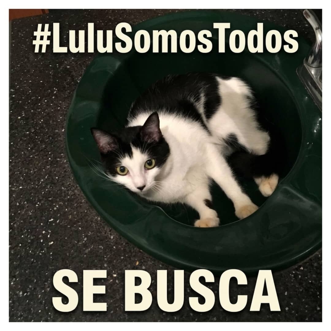 Nutrecajo tweet media