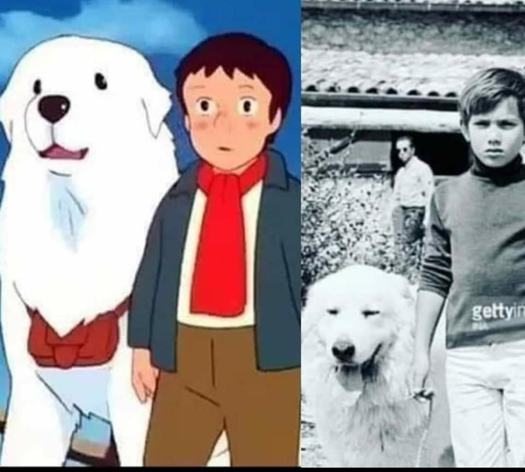 طائر الغدير tweet media