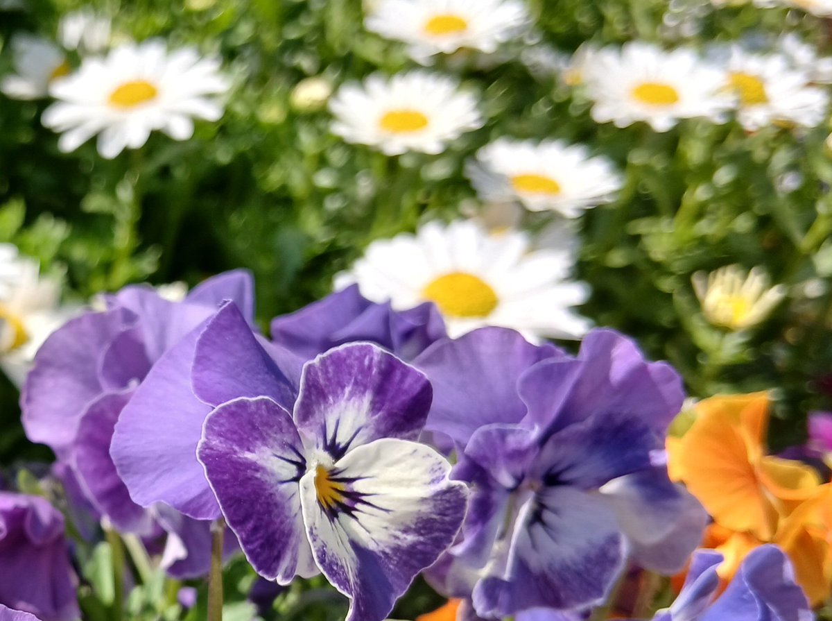 🎀ほほえみ2🎀 tweet media