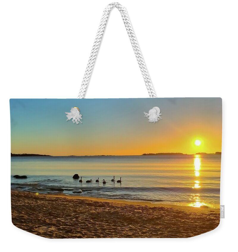 HurmerintaArt's tweet photo. Beautiful bags in two sizes. Choose a tote or the weekender bag. Welcome to have a look at my designs here: https://t.co/2X0fU52rwo #bags #springbags #springidea #giftideas https://t.co/msCU3NhwvV