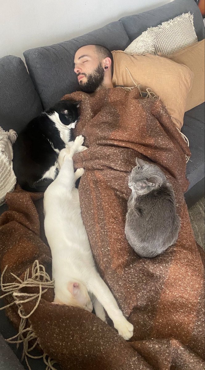 Simpaticojo tweet media