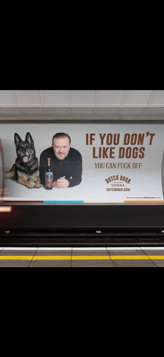 LukasW2012's tweet photo. @TRobinsonNewEra Or cats! https://t.co/YQ737rHKYL