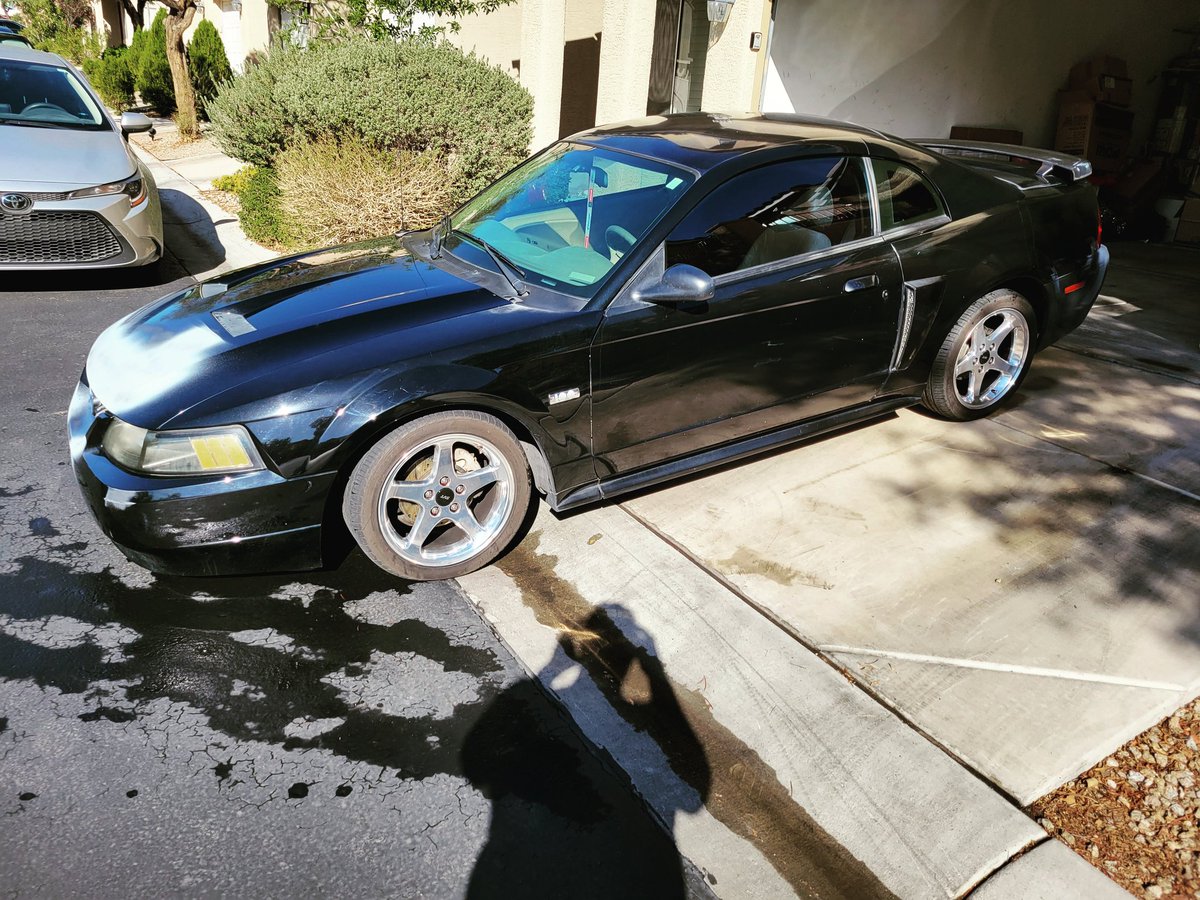 HGA_Overlord's tweet photo. @amemiyafdac987 I need to have the bumper and hood painted https://t.co/ByghokGD1E