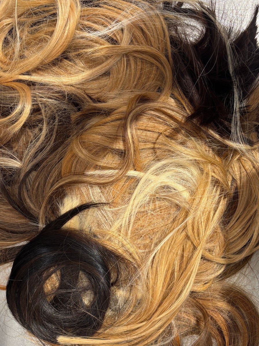 Matter of Trust tweet media