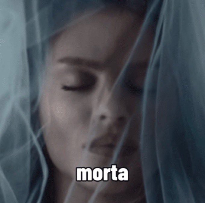 kimberly tweet media