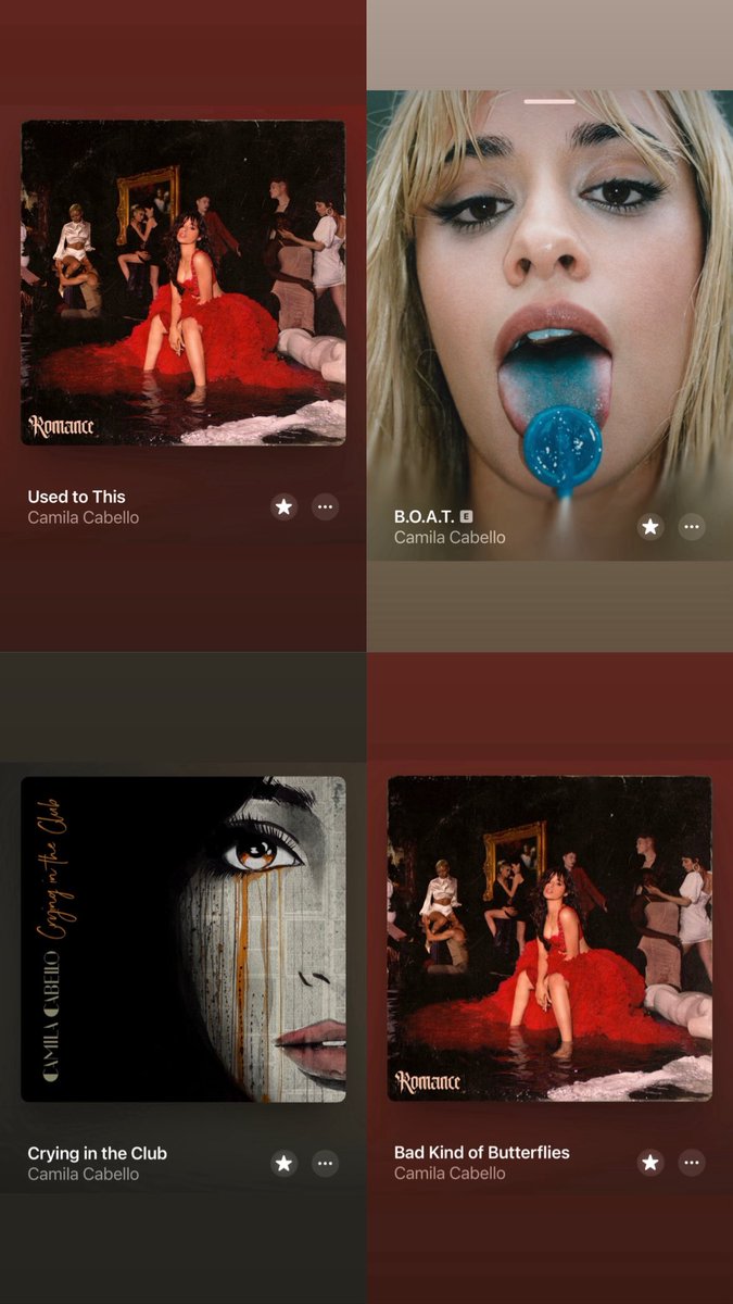 shai 🇦🇪 tweet media