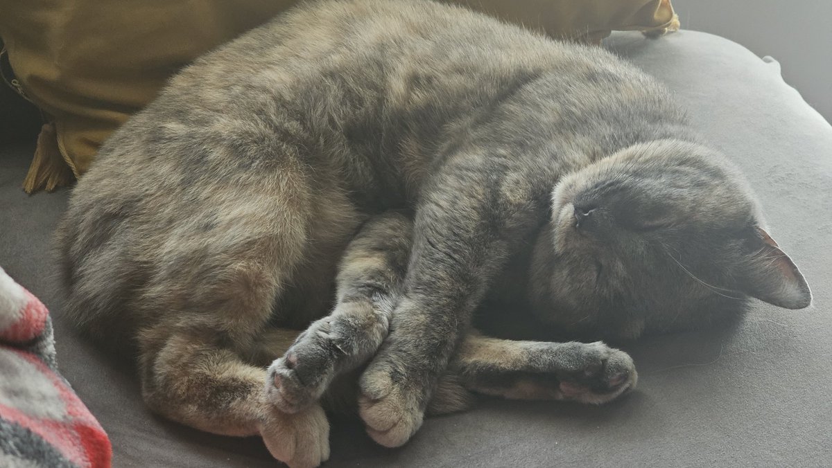 You'd think she owns the place