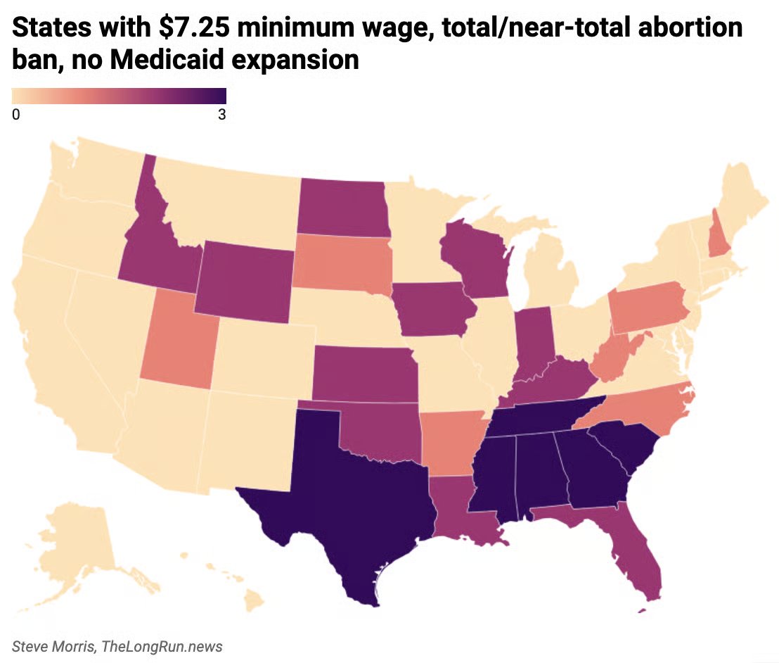 Steve Morris tweet media