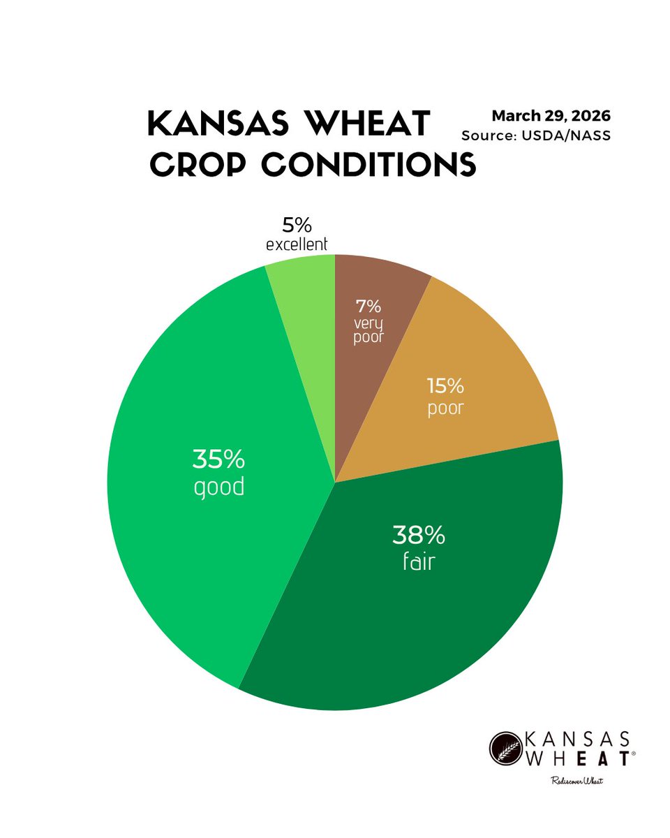KansasWheat tweet media