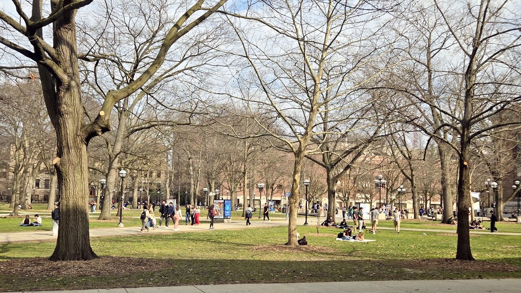 もっちりんだ 🇺🇸 🇯🇵 🏳️‍🌈 tweet media