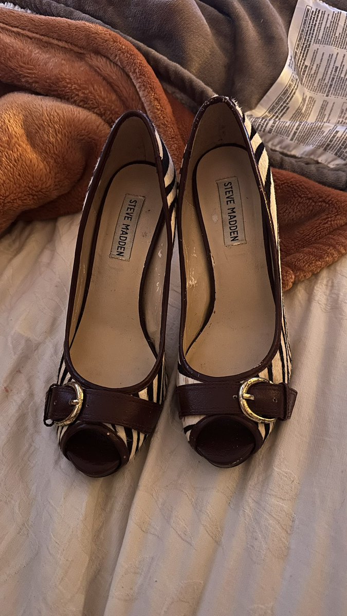 mr obeast tweet media