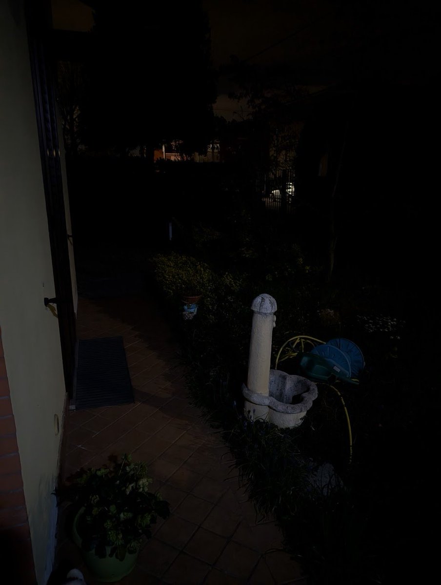 _SoloUnAle_ tweet media