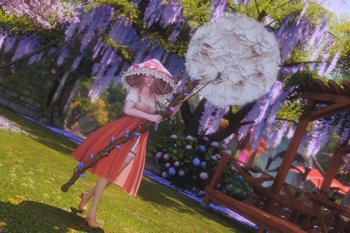 Raève ~ Romantasy Era (ᓚᘏᗢ) tweet media