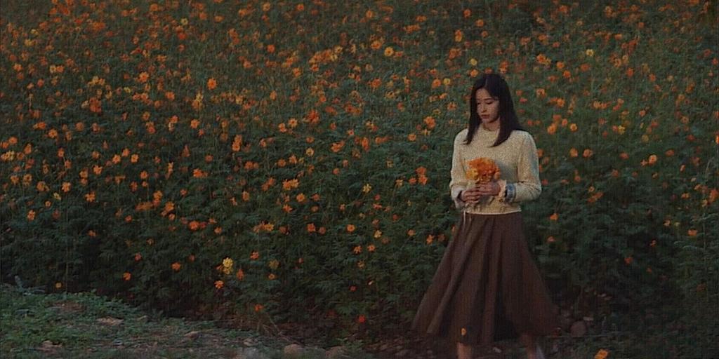 ᴷᵈʳᵃᵐᵃ ᴮʳᵉᵉᶻᵉ tweet media