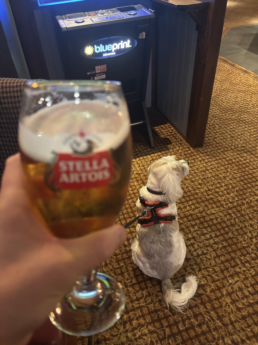 BOOSH 🏴󠁧󠁢󠁷󠁬󠁳󠁿 tweet media