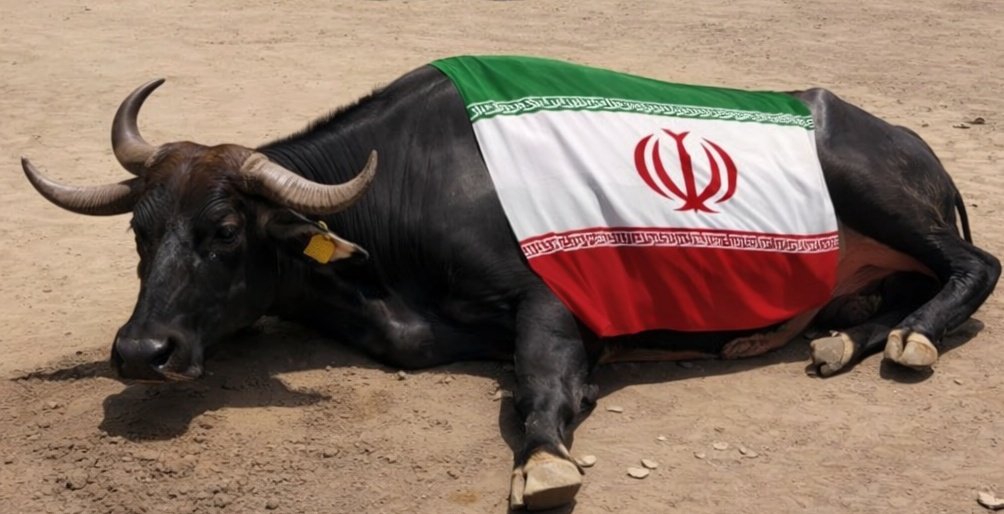 🇸🇦 B2 🌐 tweet media