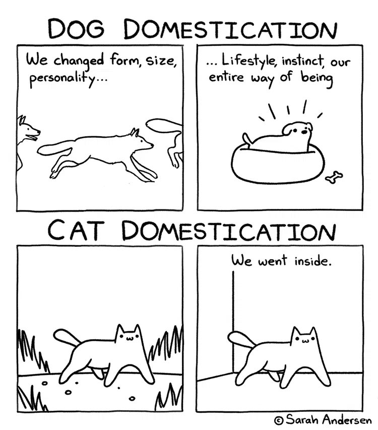 Sarah’s Scribbles tweet media