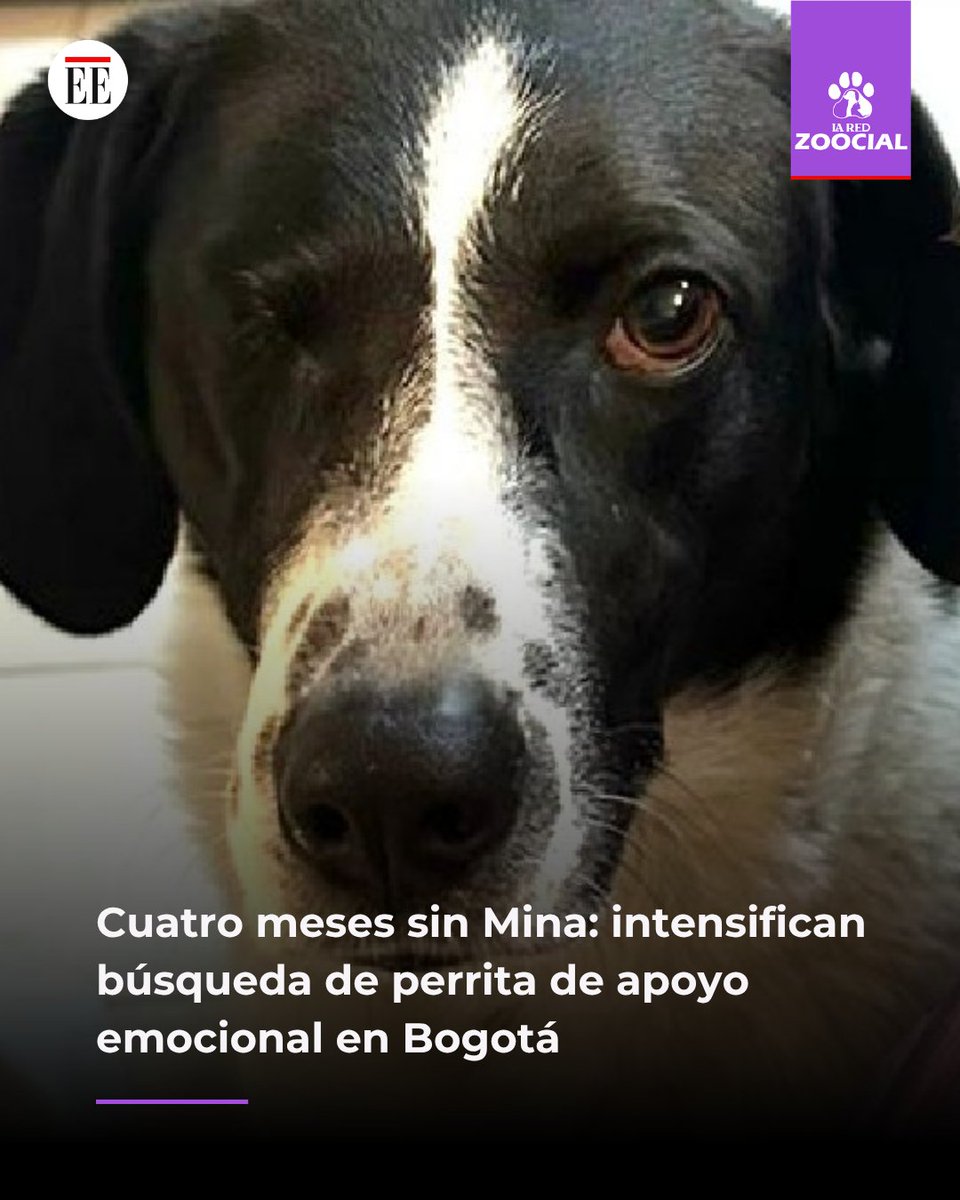 La Red Zoocial tweet media