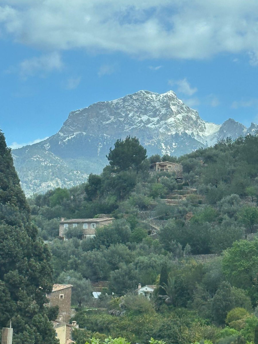 Dr. Markus Krall tweet media