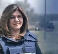 محمد🇩🇿دالي tweet media