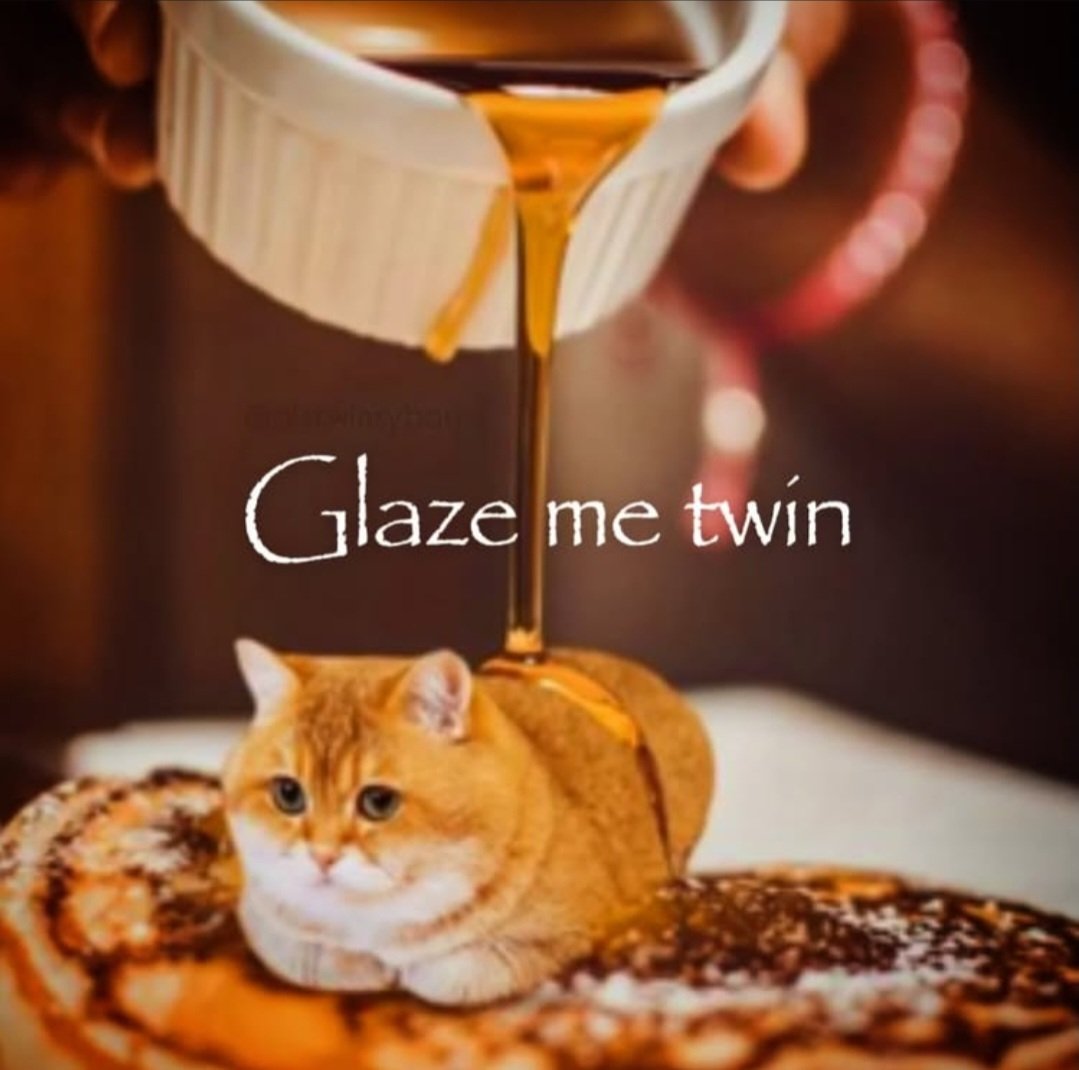 Daily Cat Posting tweet media