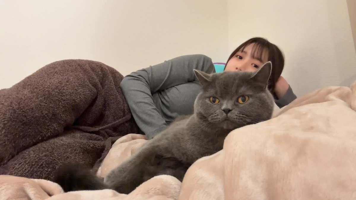 クリッパーびんびん年中無休 tweet media