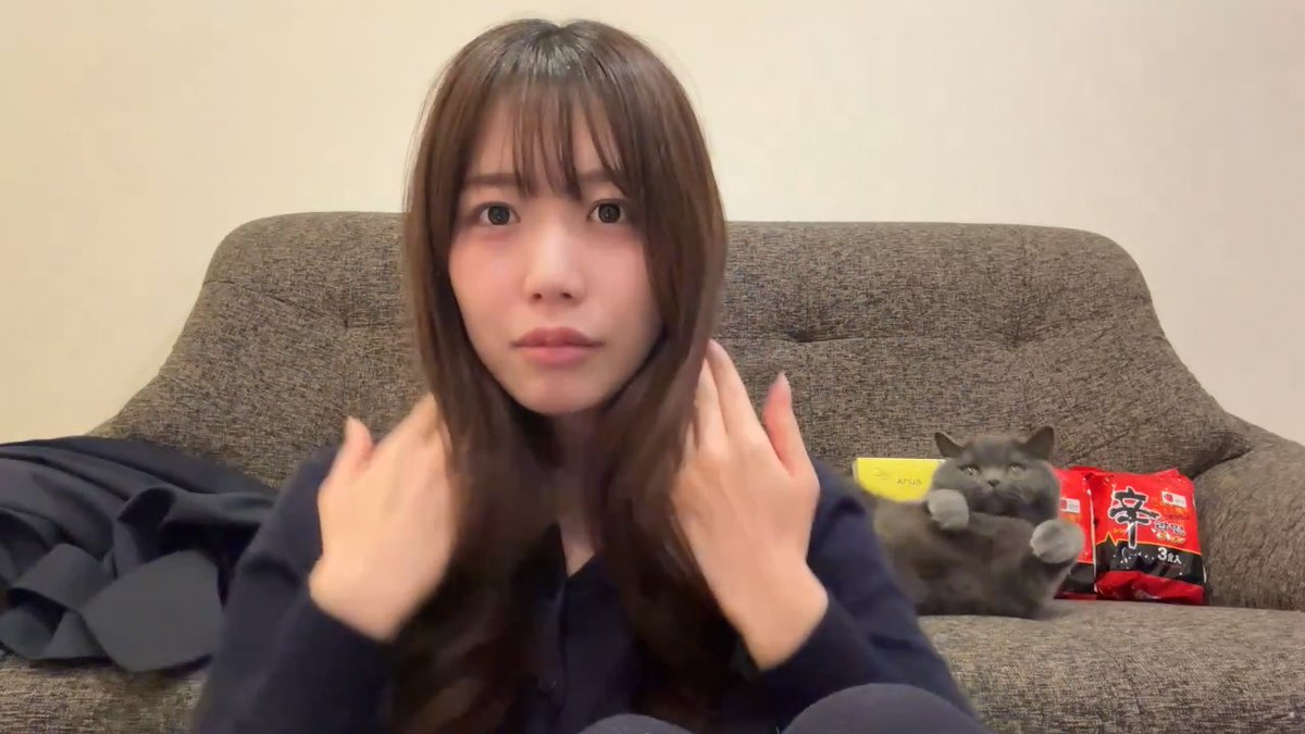 クリッパーびんびん年中無休 tweet media