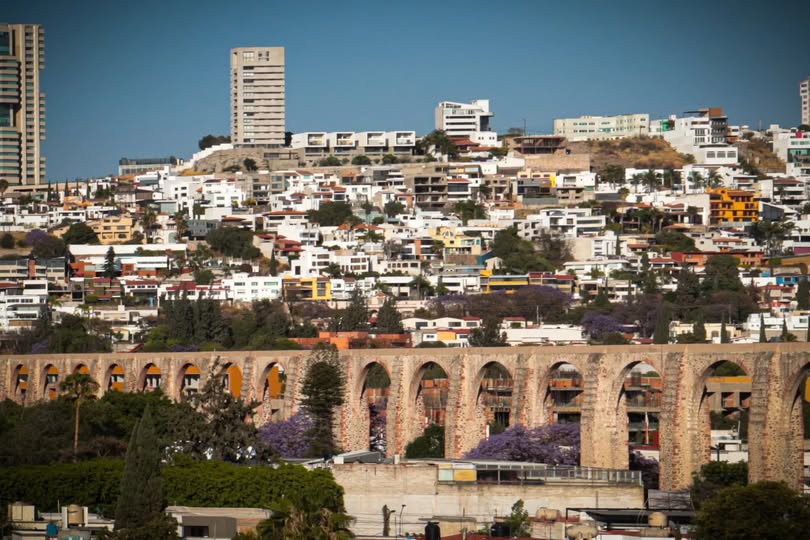 Presencia Universitaria tweet media