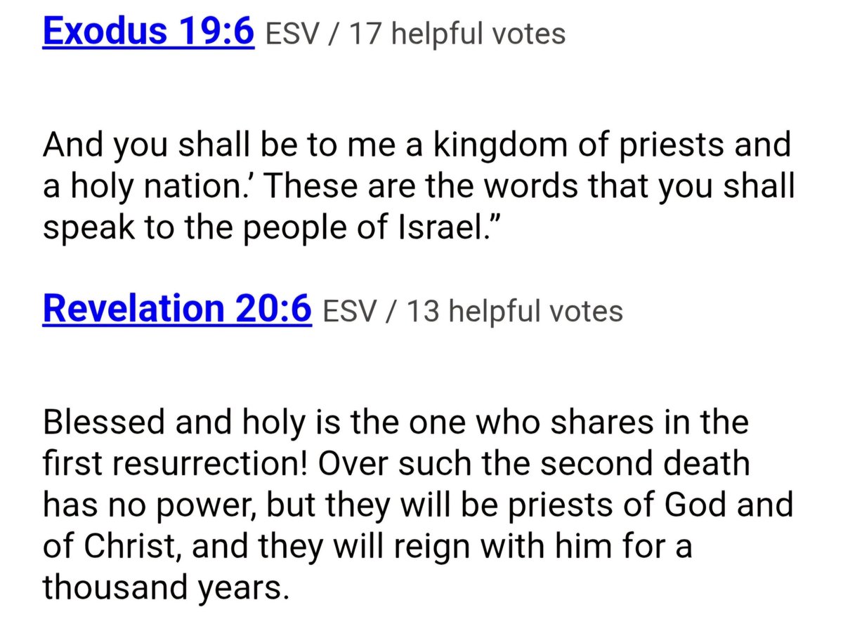 KING CHIDI tweet media