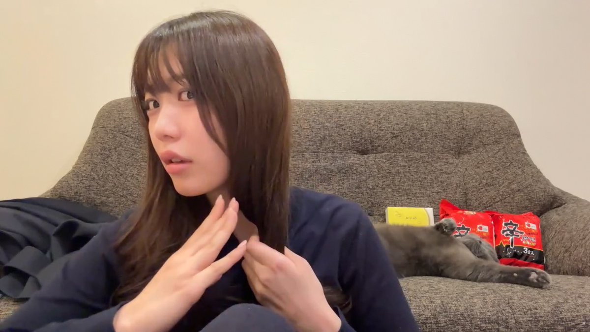 クリッパーびんびん年中無休 tweet media